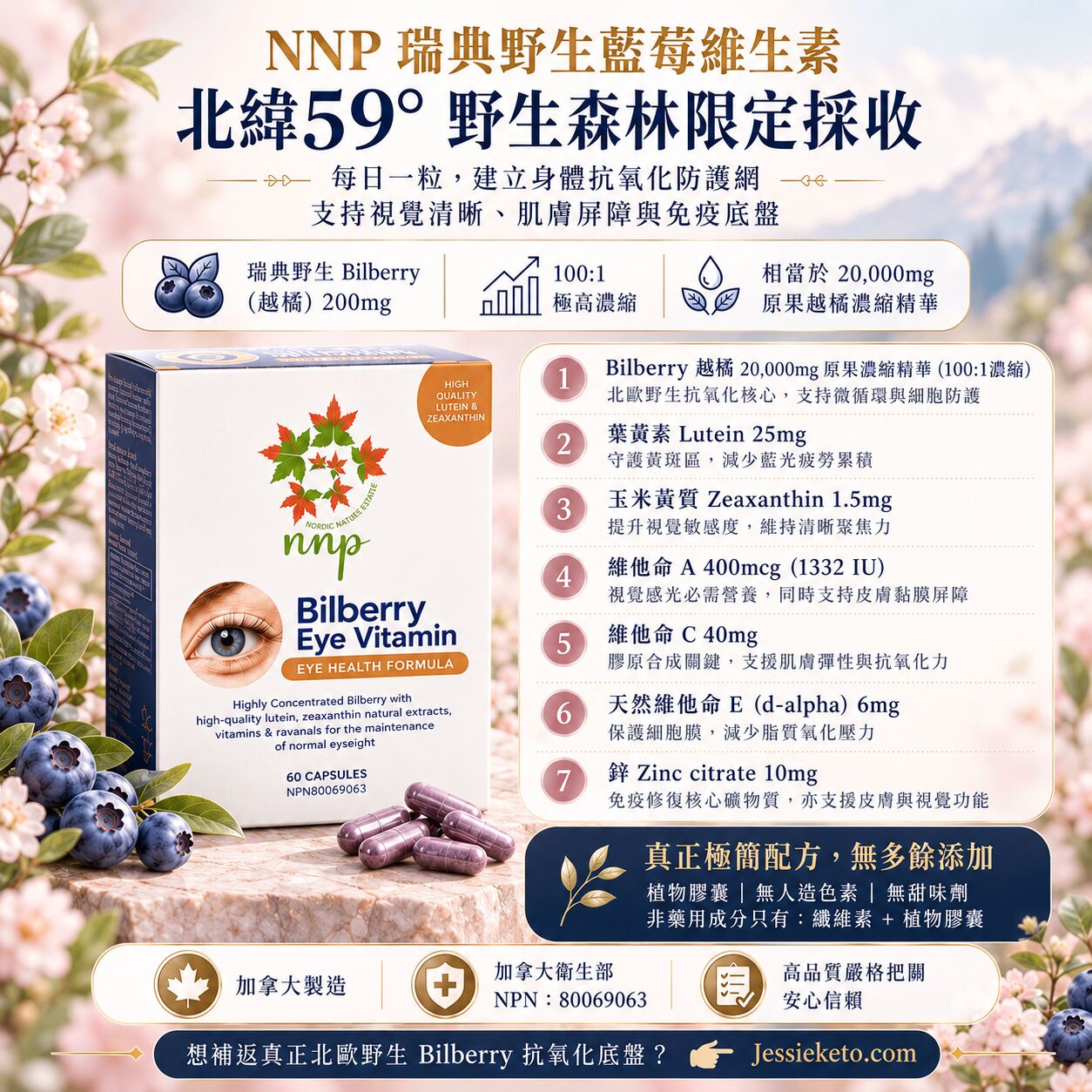 NNP瑞典野生藍莓維生素